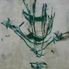 Solimoes VI